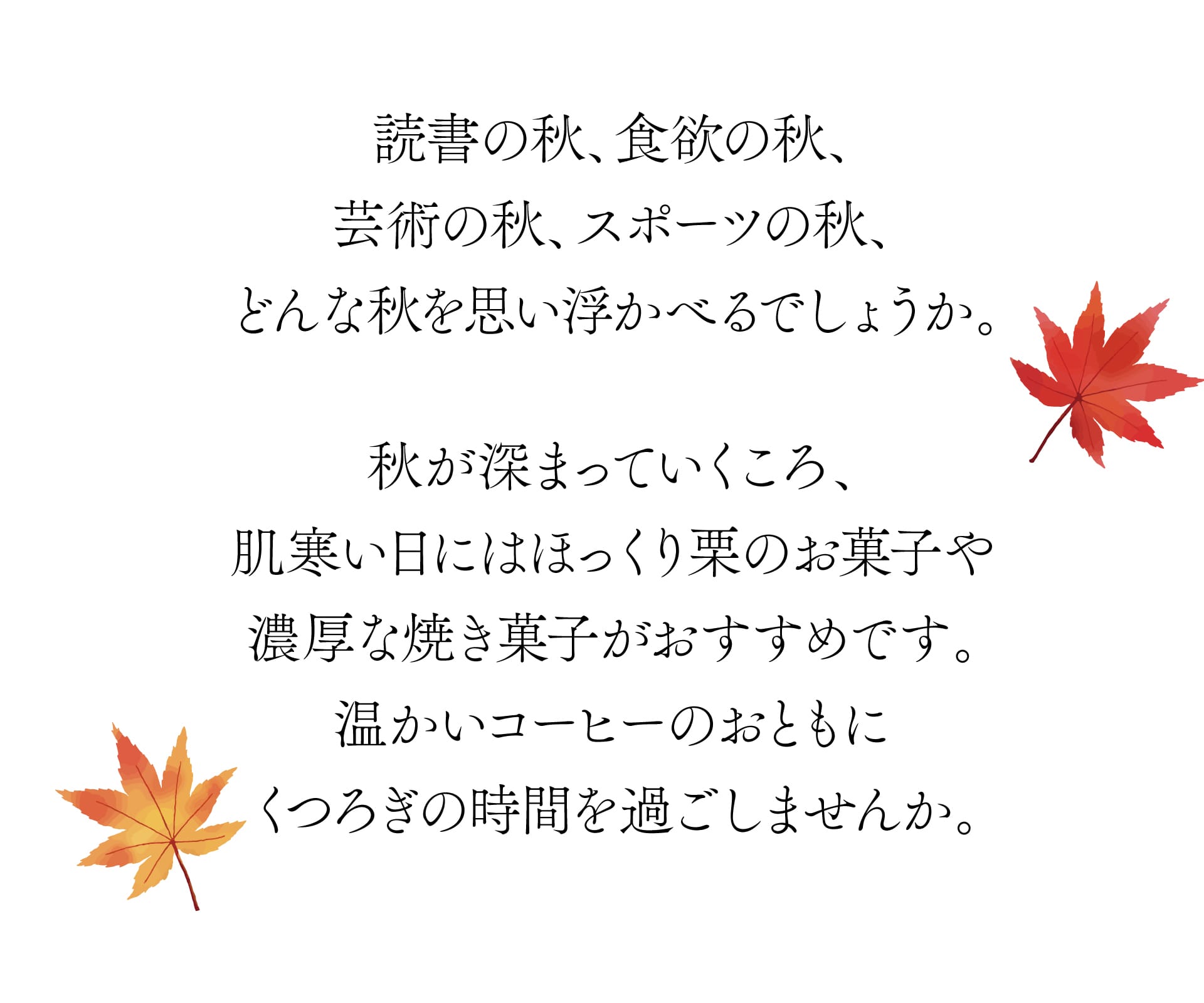 読書の秋、食欲の秋、芸術の秋、スポーツの秋、どんな秋を思い浮かべるでしょうか。 秋が深まっていくころ、肌寒い日にはほっくり栗のお菓子や濃厚な焼き菓子がおすすめです。温かいコーヒーのおともにくつろぎの時間を過ごしませんか。